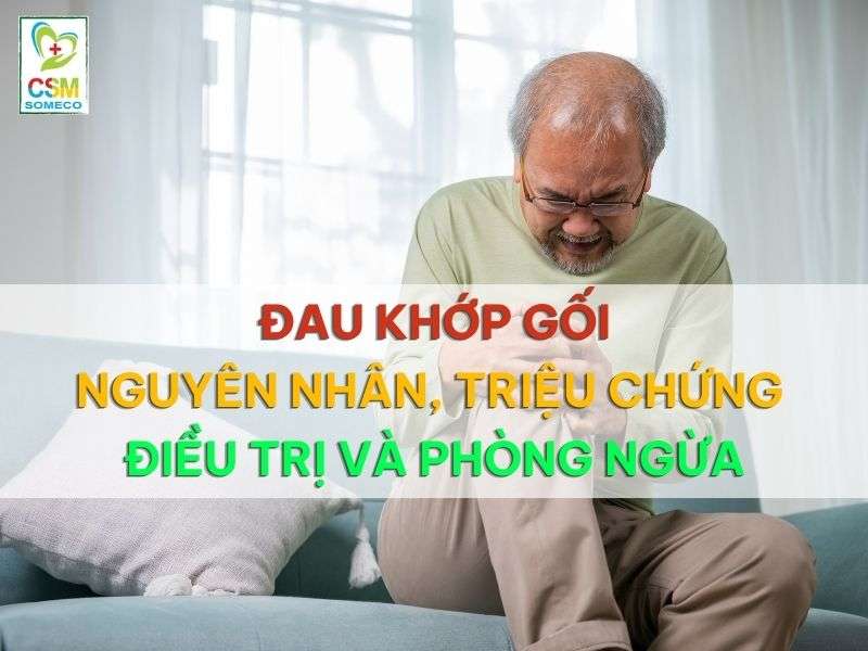 dau khop goi nguyen nhan trieu chung dieu tri va phong ngua Đau khớp gối