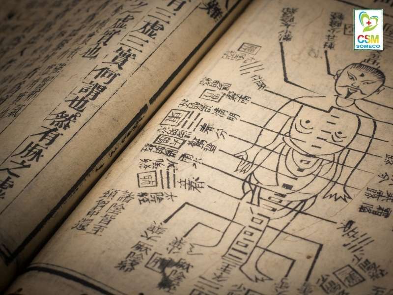 ban chat cua y hoc co truyen la gi Bản chất của y học cổ truyền là gì?