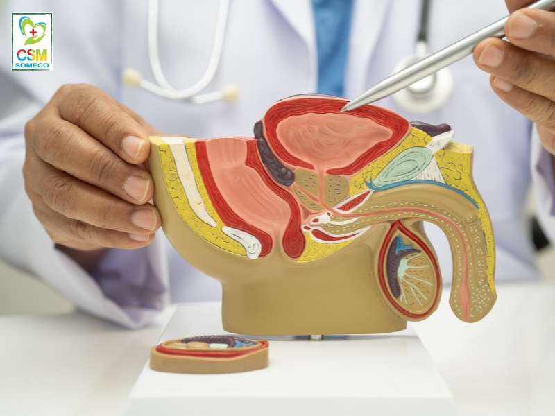 bien phap phong ngua benh nam khoa Phòng ngừa bệnh nam khoa bằng biện pháp nào?