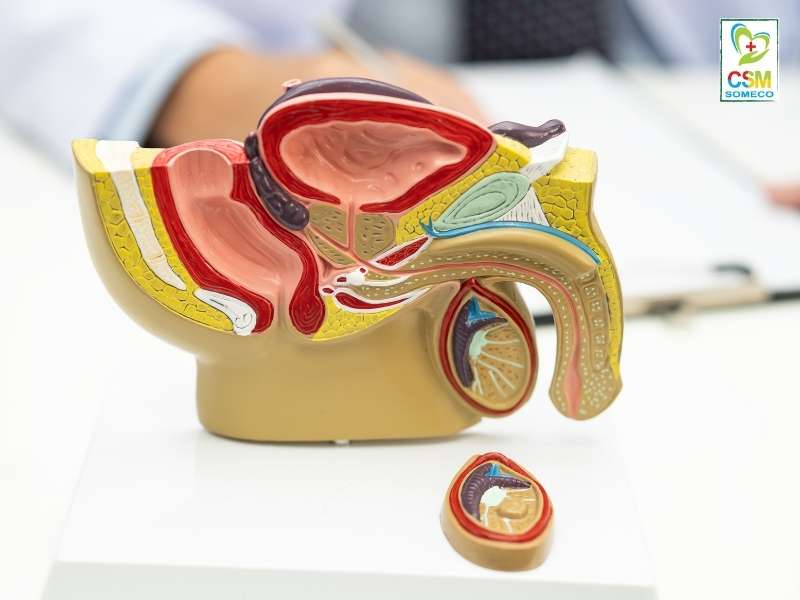 can luu y gi truoc va sau khi kham chua benh nam khoa Lưu ý gì trước và sau khi khám chữa bệnh nam khoa?