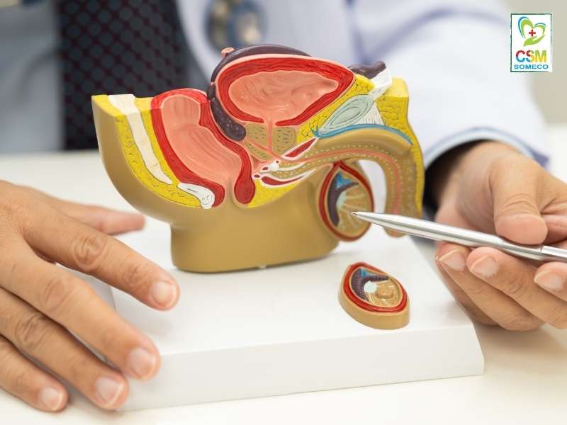 dia chi kham chua benh nam khoa uy tin tai hcm la o dau Đơn vị nào khám chữa bệnh nam khoa uy tín tại HCM?