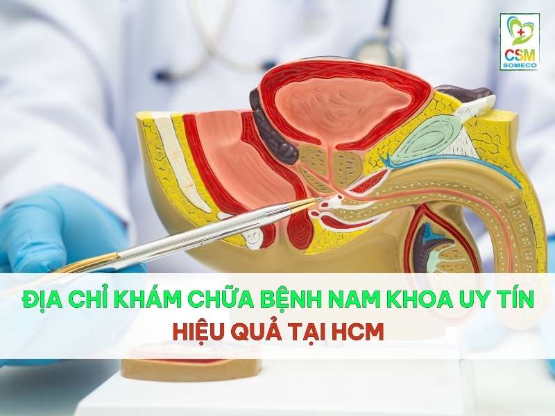 dia chi kham chua benh nam khoa uy tin tai hcm Địa chỉ khám chữa bệnh nam khoa uy tín hiệu quả