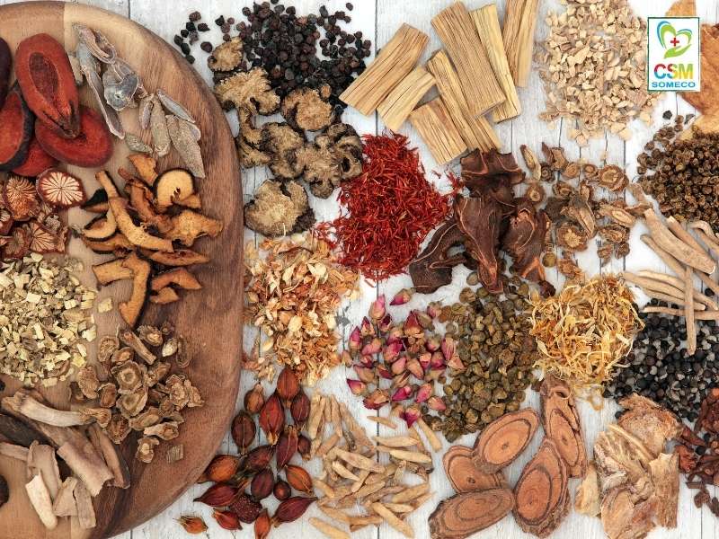 dung thuoc thao duoc Dùng thuốc thảo dược