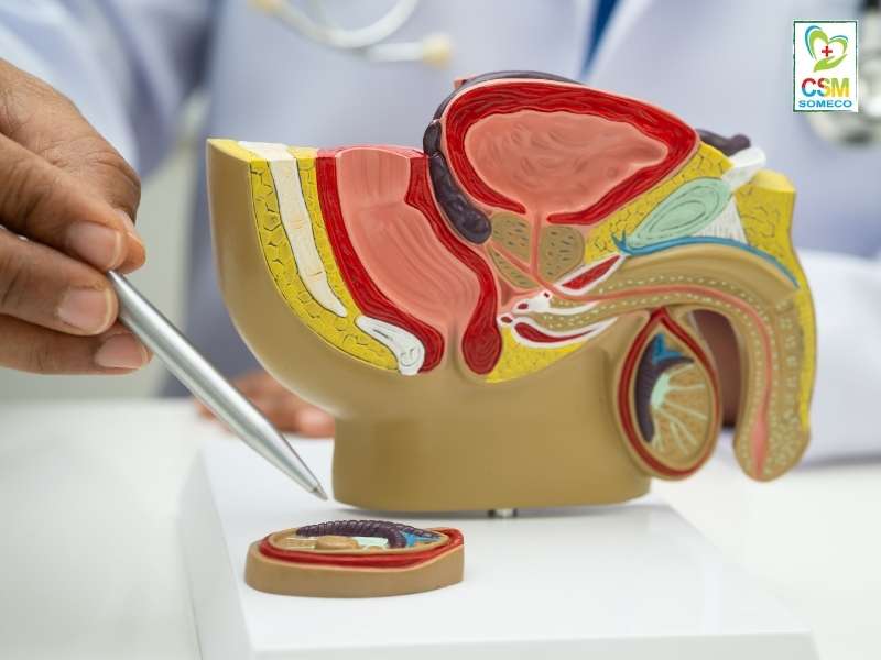 kham nam khoa la gi khi nao nam gioi can di kham Khám nam khoa là gì?