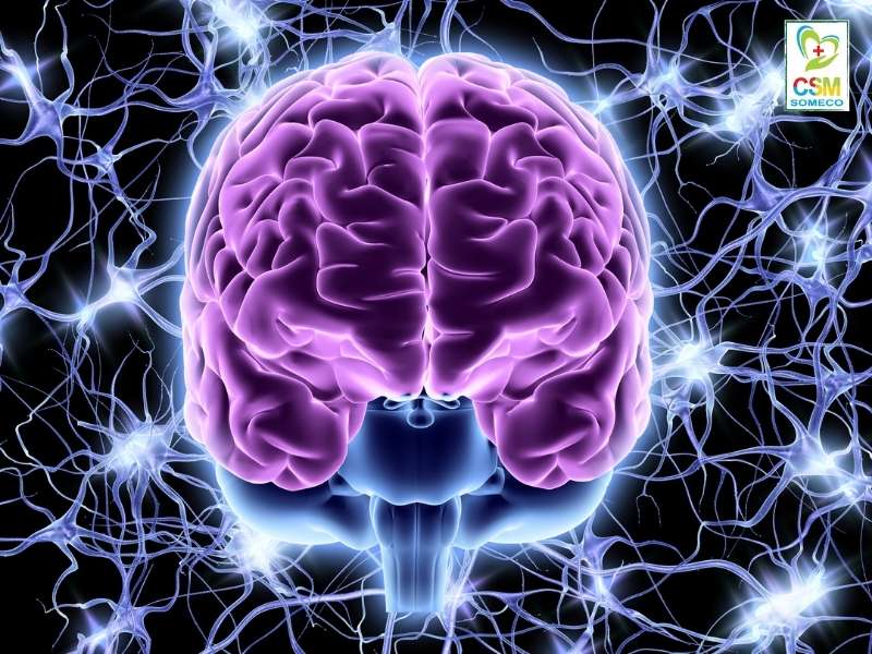 tong quan ve roi loan than kinh thuc vat Tổng quan về rối loạn thần kinh thực vật