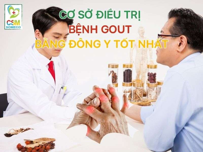 Cơ sở điều trị bệnh Gout