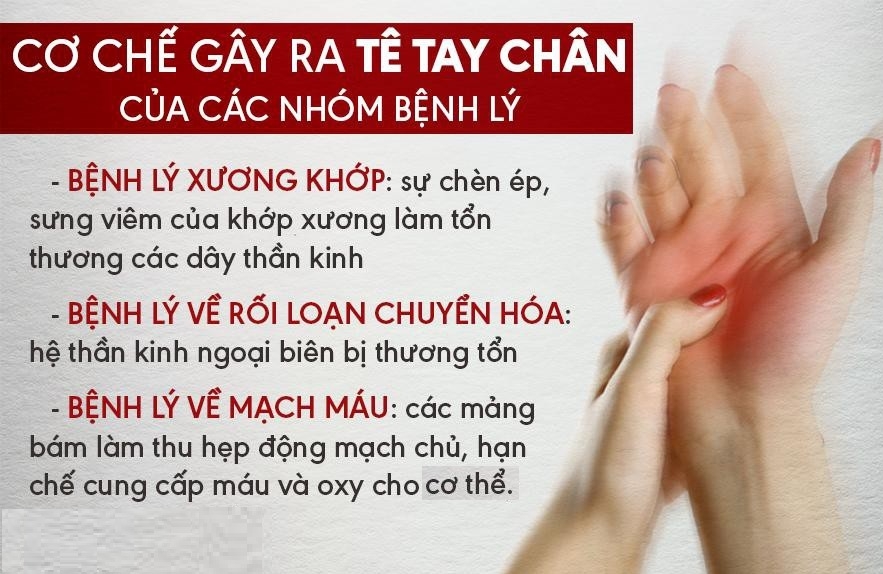 Nguyên Nhân Gốc Rễ của tê tay chân