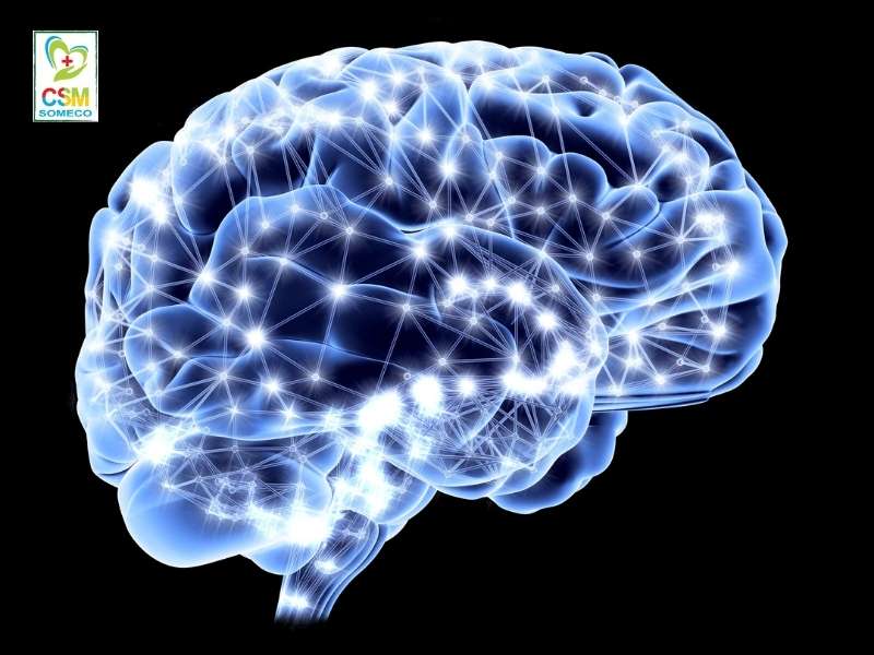 nguyen tac dieu tri thieu mau nao theo dong y Nguyên tắc điều trị thiếu máu não theo đông y