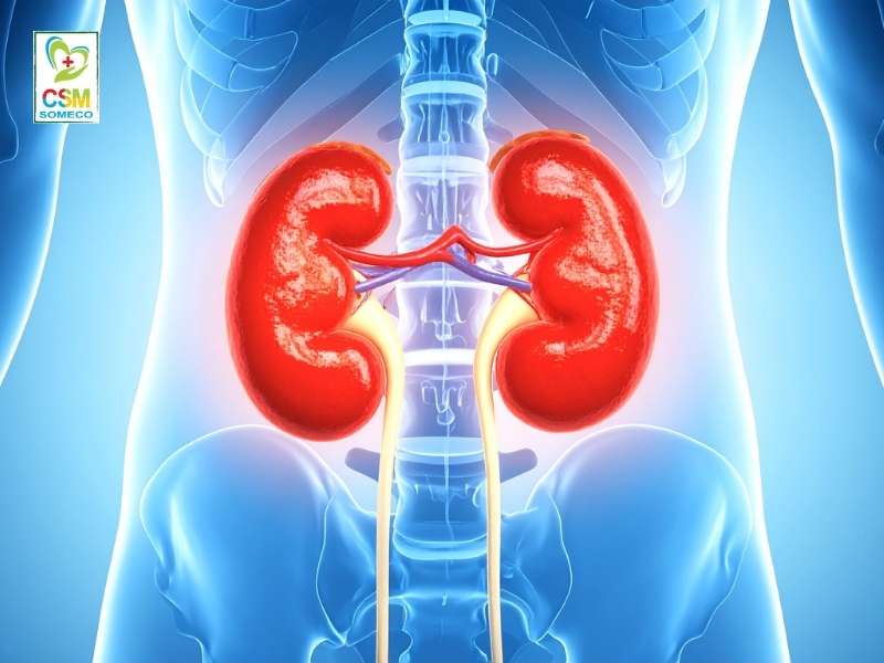 tong quan ve viem duong tiet nieu Tổng quan về viêm đường tiết niệu