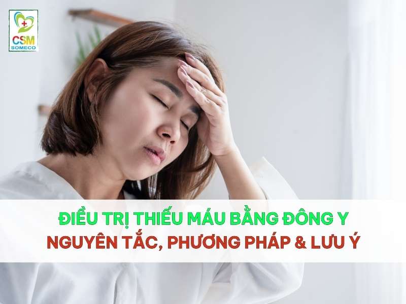 dieu tri thieu mau bang dong y nguyen tac phuong phap & luu y Điều trị thiếu máu bằng đông y