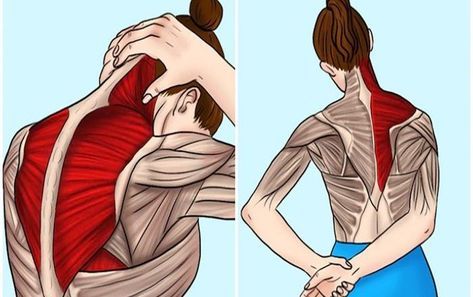 Bài Tập Cổ Vai Gáy Chấm Dứt Cơn Đau Tái Tạo Sức Mạnh