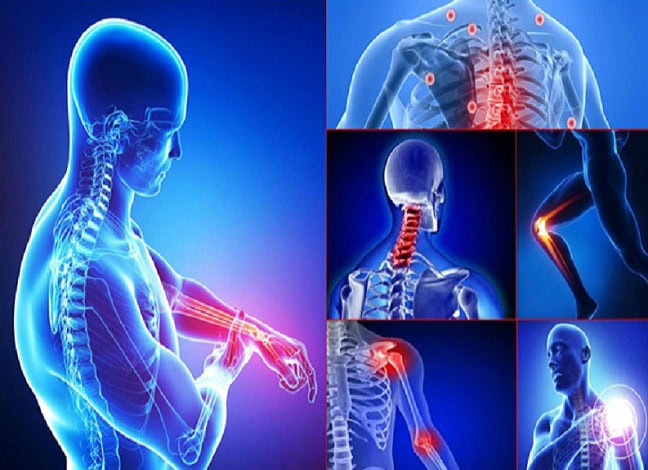 Thoái Hóa Khớp: Nỗi Đau Âm Ỉ Và Hành Trình Tìm Lại Sự Linh Hoạt