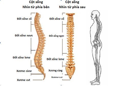 Điều Chỉnh Xương Cụt Bằng Tay: Hướng Dẫn Toàn Diện